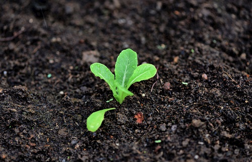 1671173520162930.png image.png