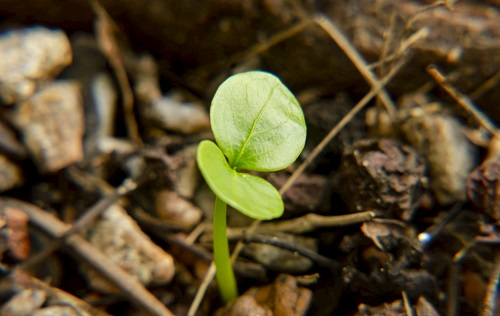 1671518925252582.png image.png