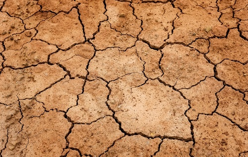 1675737943613849.png image.png