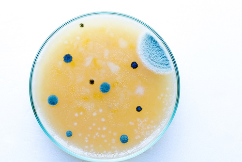 1677466188134931.png image.png