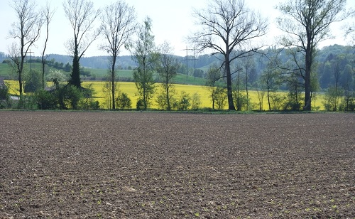 1677563401142459.png image.png