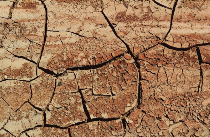 高智能土壤肥料養(yǎng)分速測儀有GPS定位功能嗎？（土壤肥料養(yǎng)分速測儀優(yōu)勢）